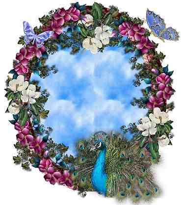 Animal Peacock