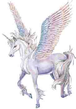 Animal Unicorn Rainbow Wing