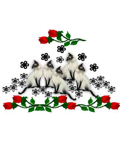 Animals 5 Kittys Roses