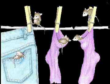 Animals Clothes Line Mice