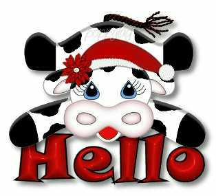 Cards Cow Hello