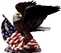Cards Eagle Flag