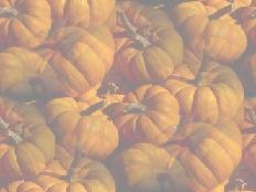 Halloween BGPumpkins