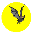 Halloween Moon Bat