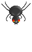 Halloween Spider Drop