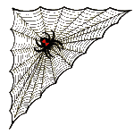 Halloween Spider Web L