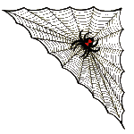 Halloween Spider Web R