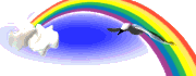 Animals Rainbow Eagle