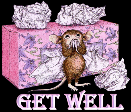 Cards Get Well Mouse