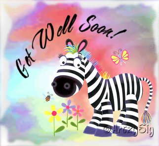 Cards Get Well Zebra