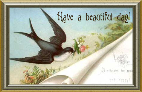 Cards Have Abeautiful Day Swallow
