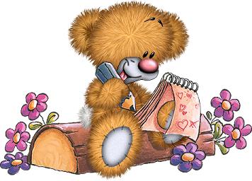Cards Teddy Write Pad