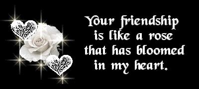 Cards Your Friendship Silver Rose