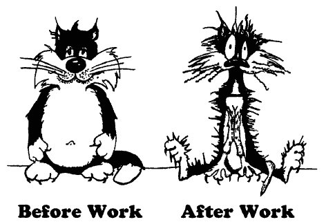 Cartoon Before NAfter