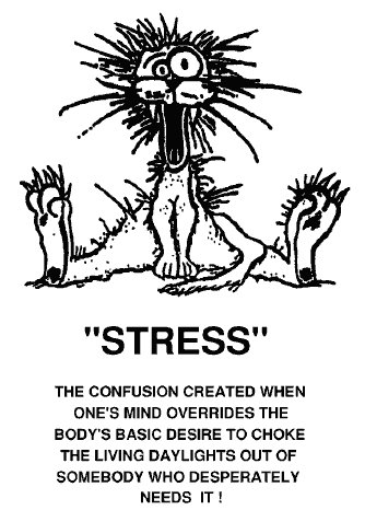 Cartoon Stress Cat