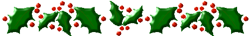 Bar Holly Berrys