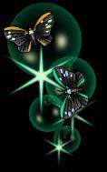 Butterfly Bubbles