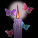 Candle Purp Multi BFs