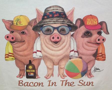 Cards Bacon in Sun