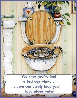 Cards Bad Day
