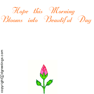 Cards Blooms Beautiful Day