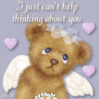 Cards Cant Help Bear