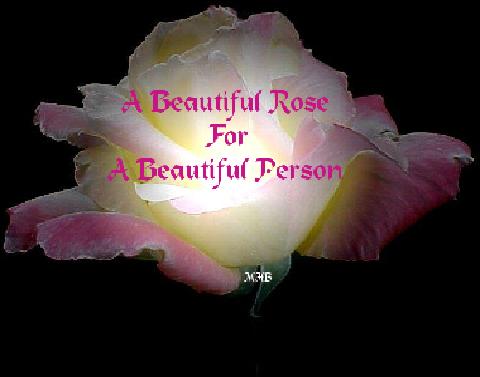 Cards Friends Beautiful Rose
