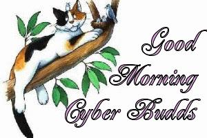Cards Friends Cyber Buds