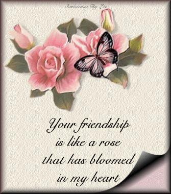 Cards Friendship Rose