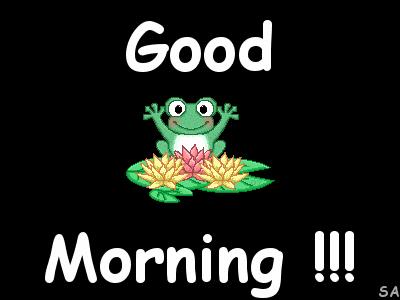Cards GMFrog
