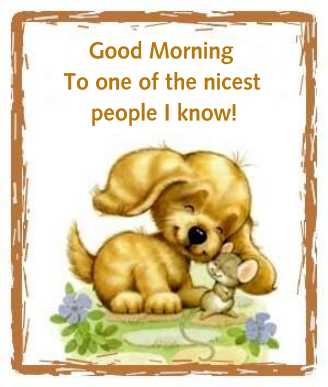 Cards GMPup NMouse
