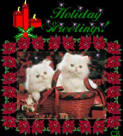 Cards Holiday Greet Wht Cats