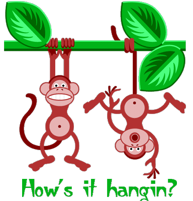 Cards Hows It Hanging