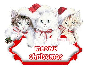 Cards Meowy Christmas