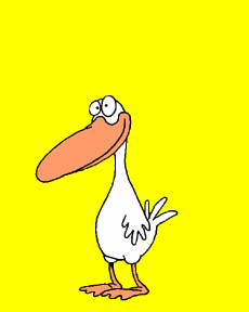Cards Quackmeup