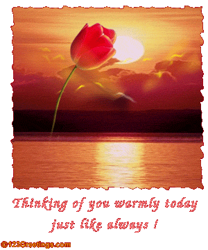 Cards Thinking of You