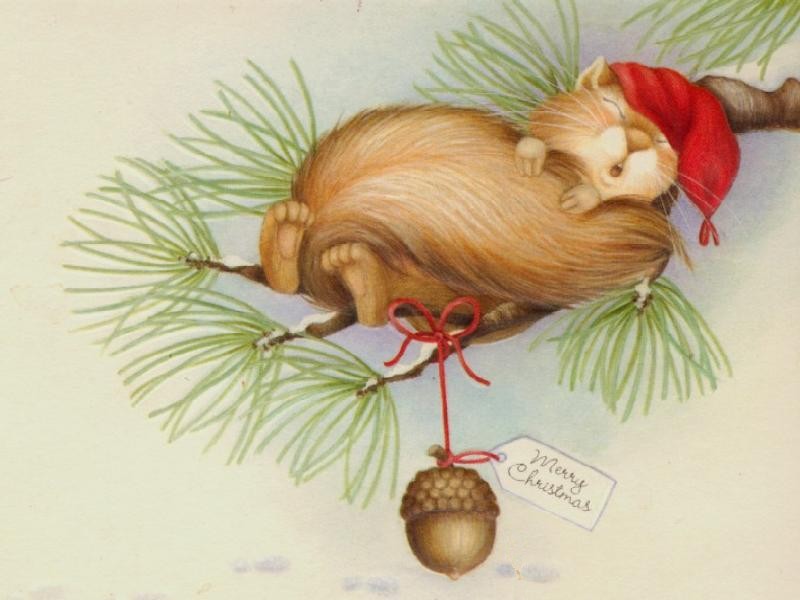 Cards Christmas Sleepy Squirrle