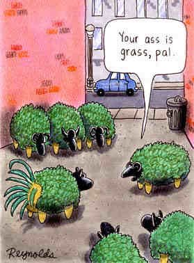 Cartoon Ass Is Grass