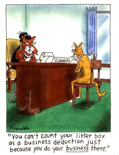 Cartoon Cat Box Deductions
