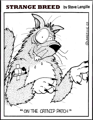 Cartoon Catnip Patch