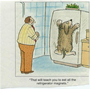 Cartoon Eat Ref Magnets