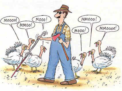 Cartoon Moo Turkey