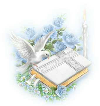 Dove Wht Bible