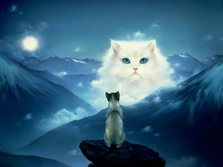 Fantasy Mystic Cats