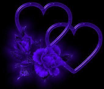 Hearts Blue Rose