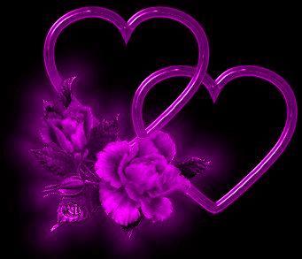Hearts Magenta Rose (2)