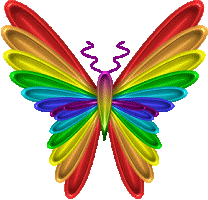 Rainbow Butterfly