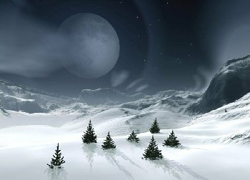 Scene Snow Moon Trees
