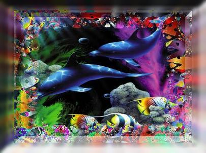 Sea Animals Dolphins Trippy Colored