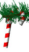 Christmas CCSwing